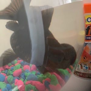 Meet your Posher, Luke